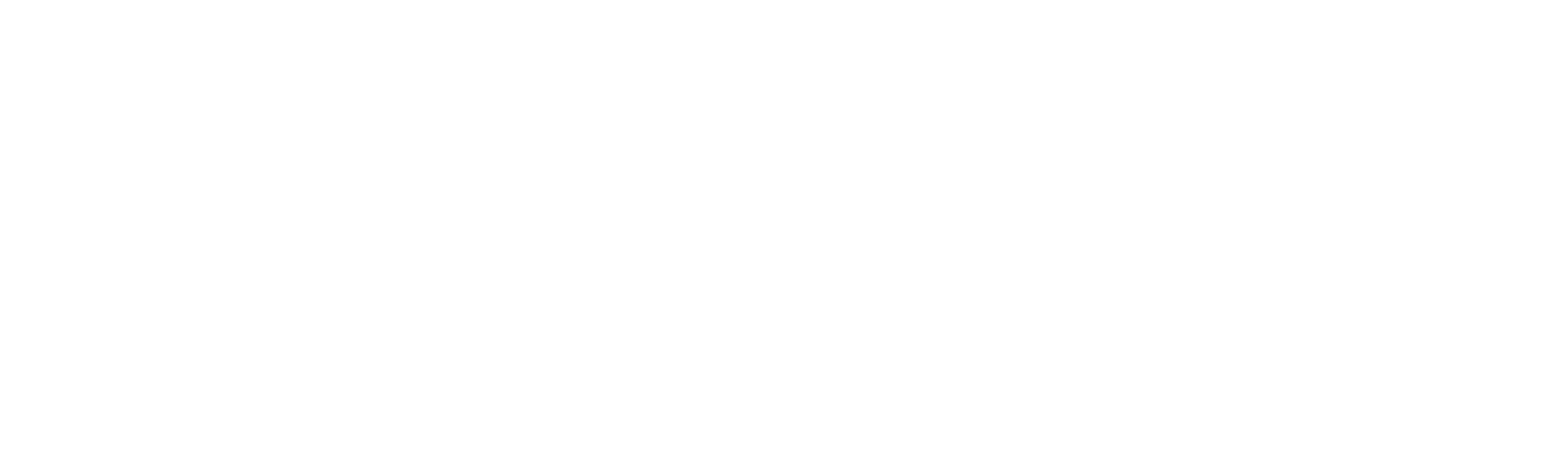 being optimizers White Logo
